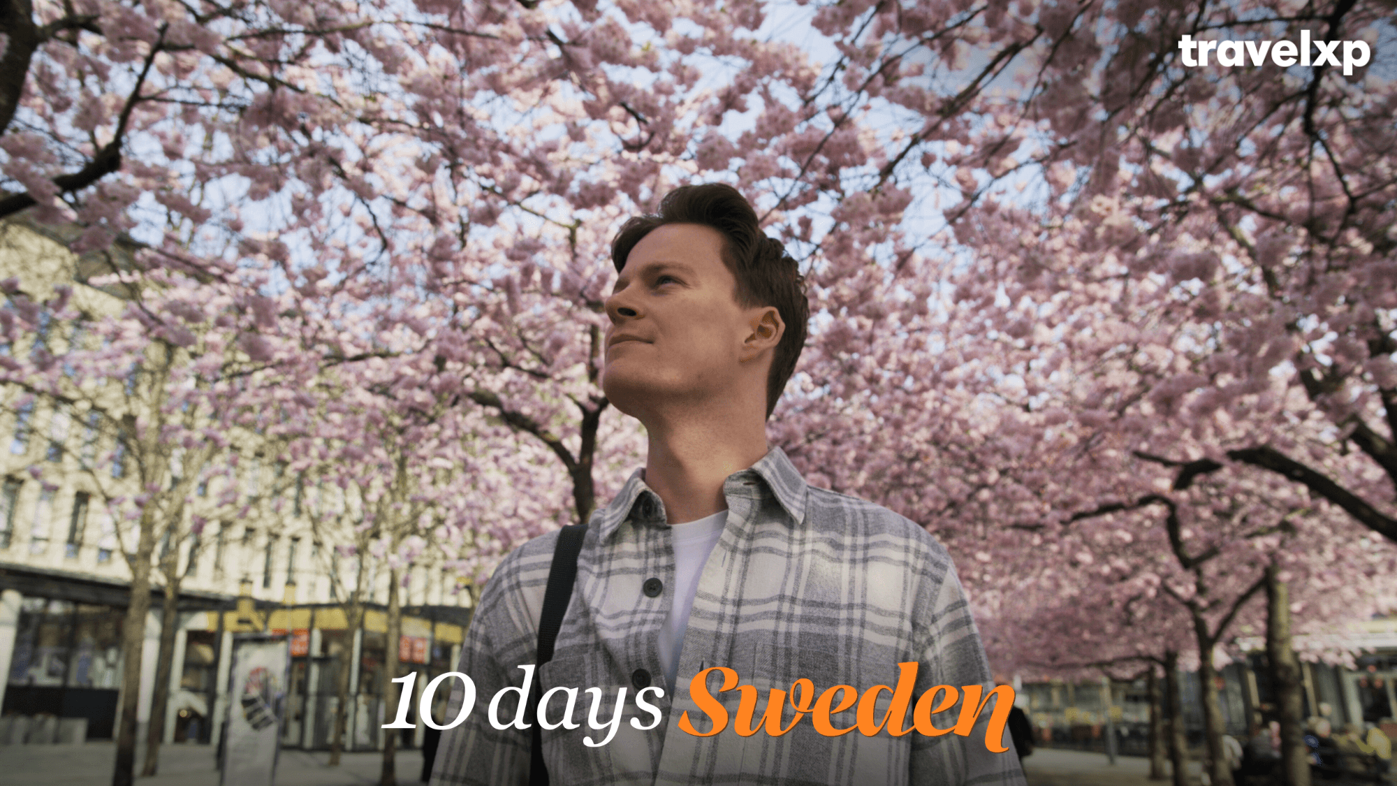 Travelxp’s 10 Days Sweden slows it down to soak it all in
